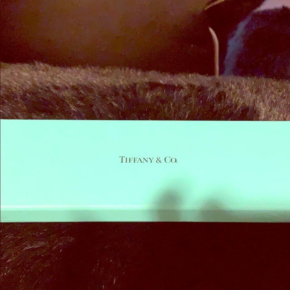 Tiffany and Co. Ballpoint Pen